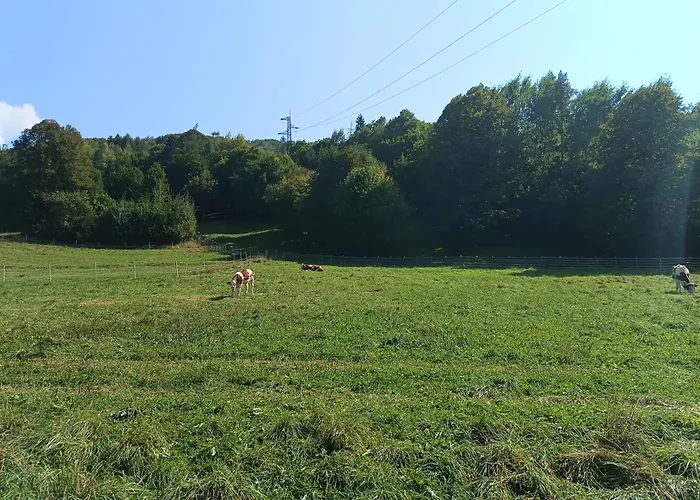 Agroturystyka Królowo