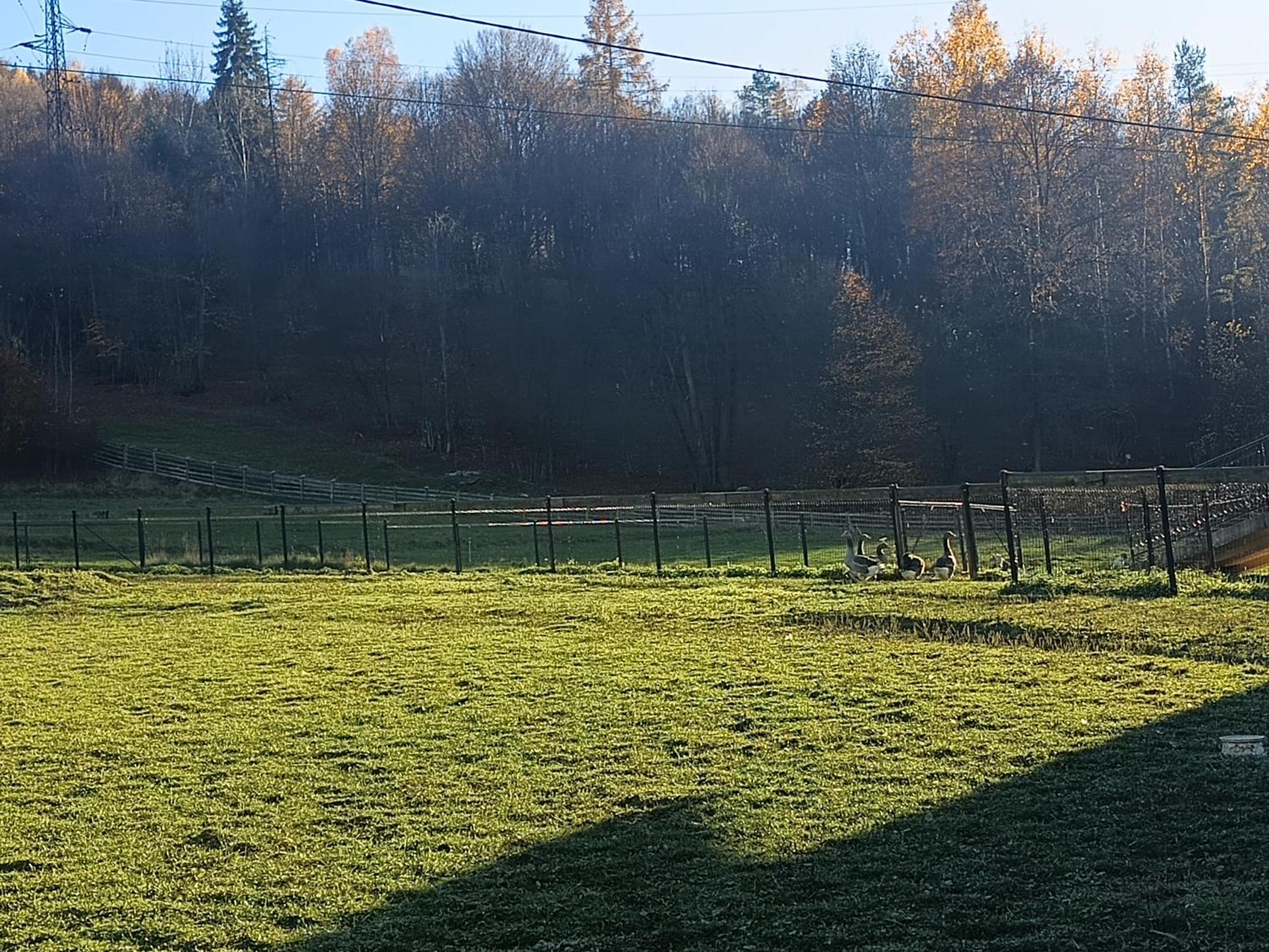 Królowo Gospodarstwo agroturystyczne