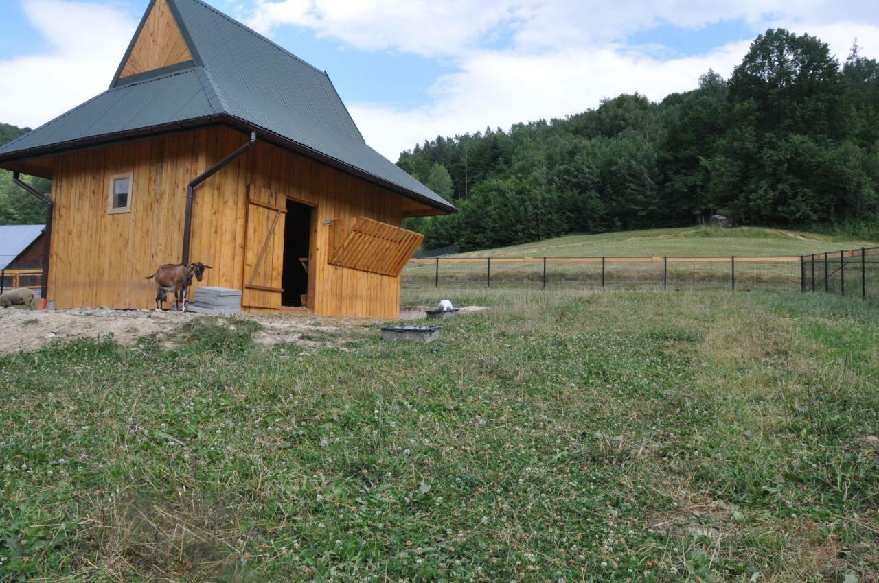 Królowo Gospodarstwo agroturystyczne