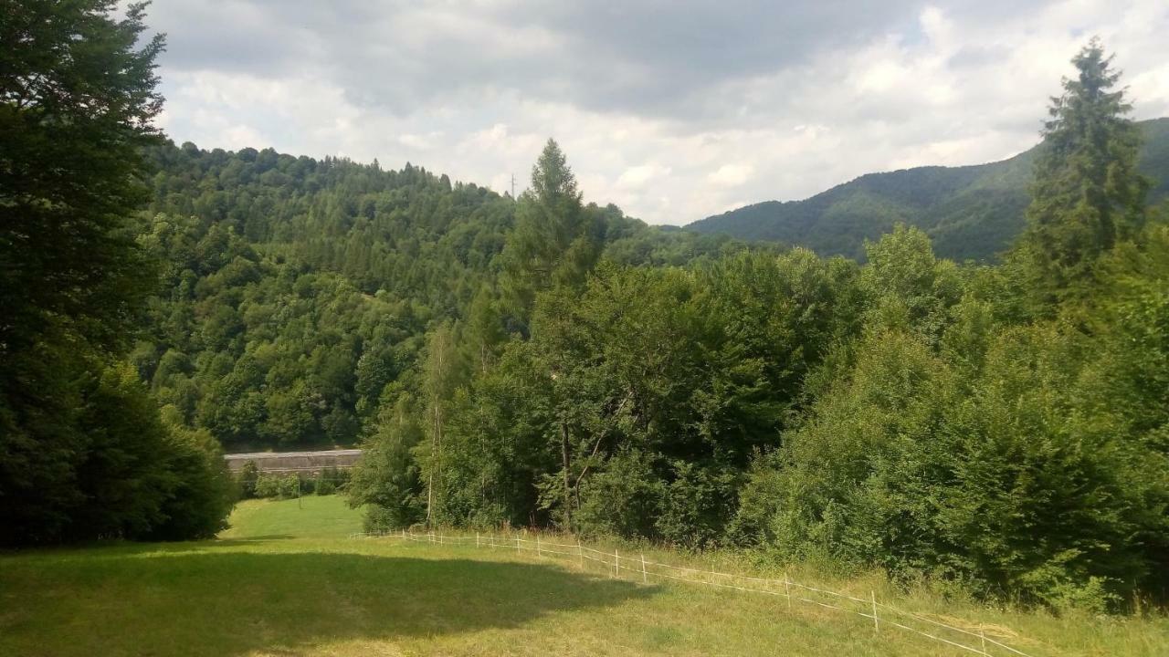 Królowo Gospodarstwo agroturystyczne Tylmanowa