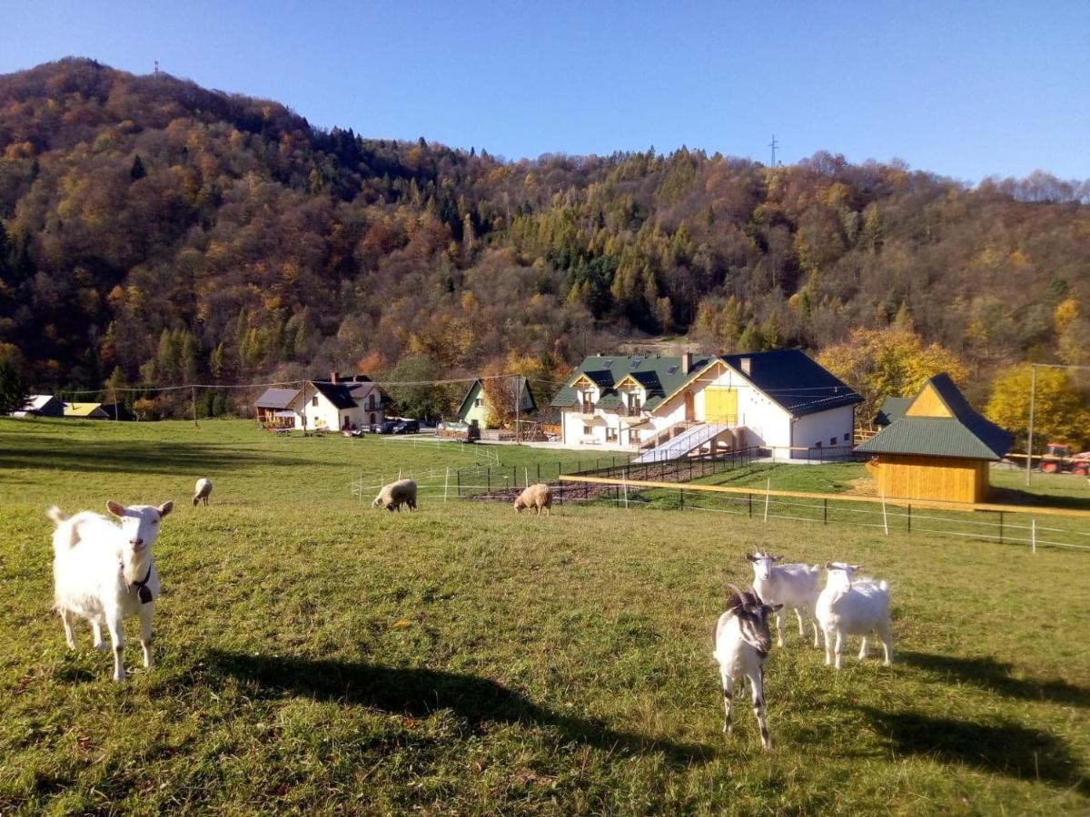 Gospodarstwo agroturystyczne Królowo Tylmanowa