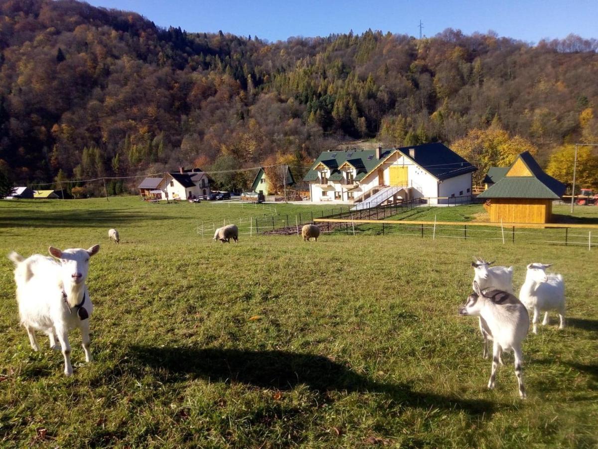 Królowo * Tylmanowa